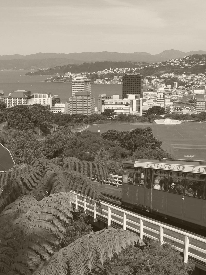 Wellington Tram overlooking the city of Wellington